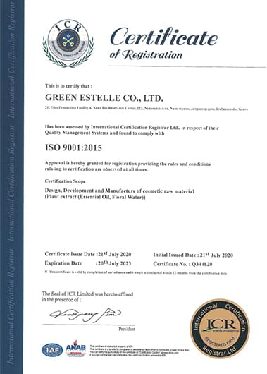 ISO 9001:2015 (영문)